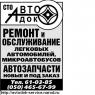 AVTODOK (Service)