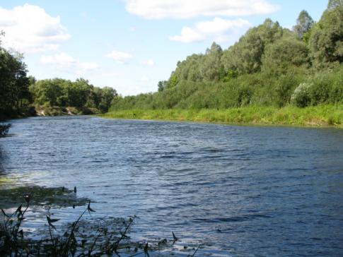Река Снов, на берегу которой расположен Электроник