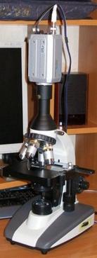 цифровой микроскоп профессиональный