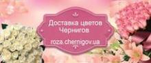 Троянда Чернігова (Магазин квітів)