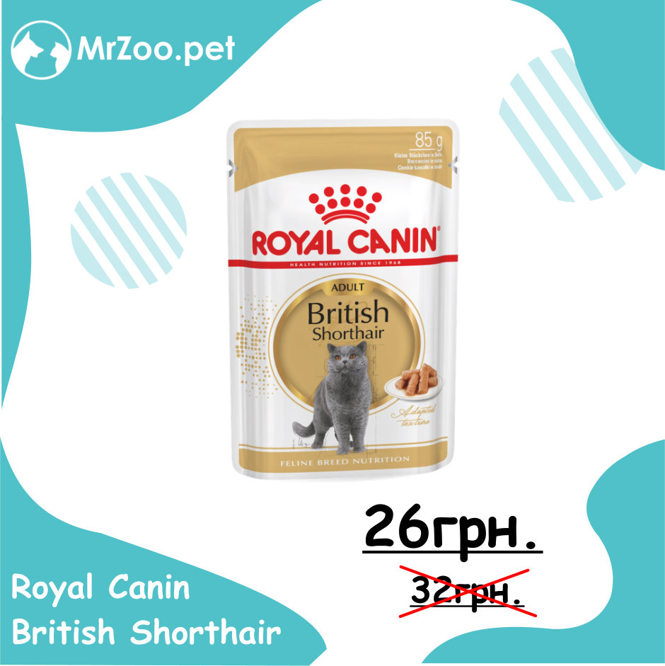 Royal Canin British Shorthair консервы  кусочки в соусе 85г