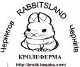 Кролеферма "Rabbitsland" (Кролярська ферма)