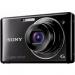 Цифровой фотоаппарат SONY Cybershot DSC-W390 black