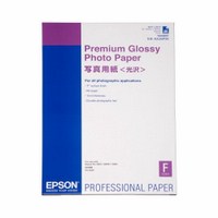 Бумага EPSON A2 Premium Glossy Photo Paper (C13S042091)