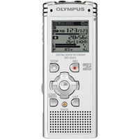 Цифровой диктофон OLYMPUS WS-650S (N2285621)
